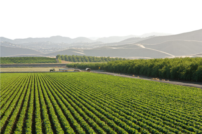 Farmland with a variety of crops being grown